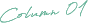 Column01